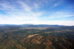 My_Skycatcher-View-L08_600